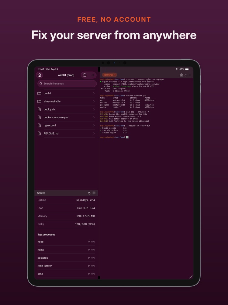 WriteAccess on iPad: files, terminal and server stats side by side