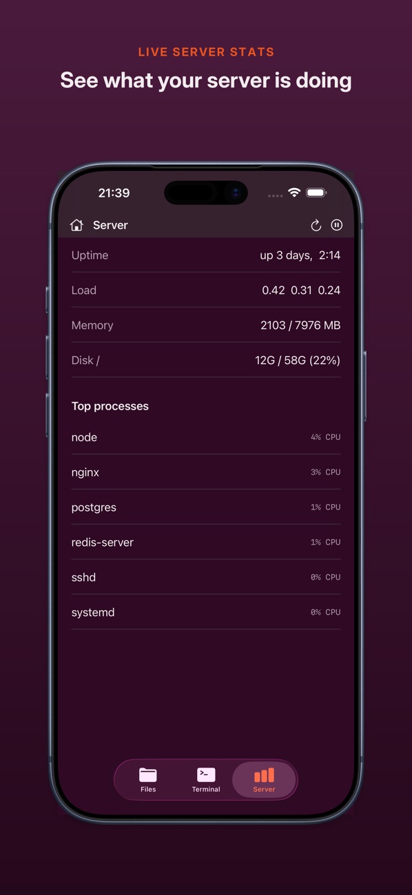 WriteAccess on iPhone: live server stats with uptime, load, memory, disk and top processes